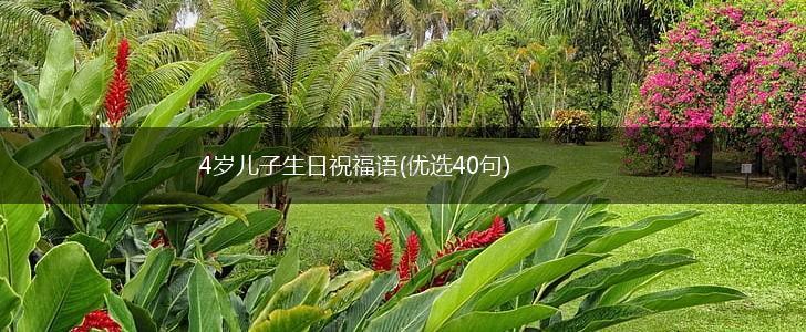 4岁儿子生日祝福语(优选40句),第1张
