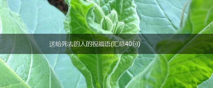 送给死去的人的祝福语(汇总40句),第1张