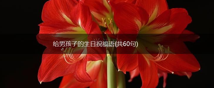 给男孩子的生日祝福语(共60句),第1张