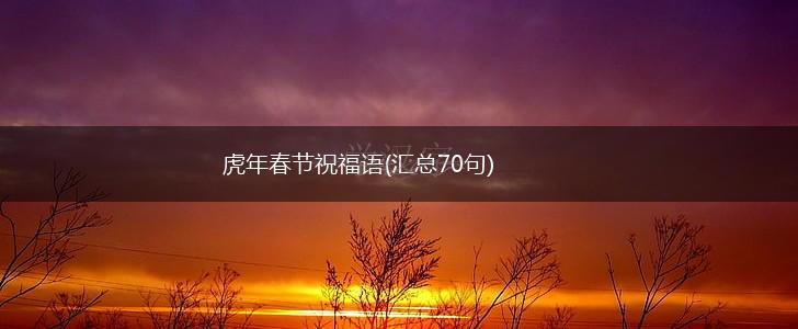 虎年春节祝福语(汇总70句),第1张