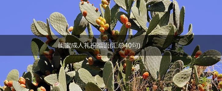 闺蜜成人礼祝福语(汇总40句),第1张