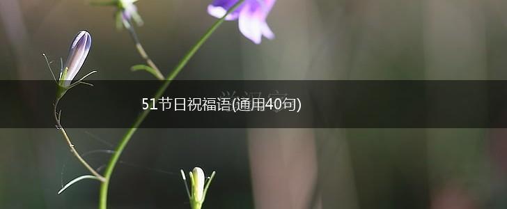 51节日祝福语(通用40句),第1张