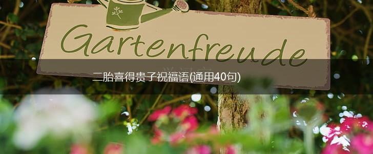 二胎喜得贵子祝福语(通用40句),第1张