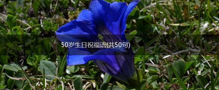 50岁生日祝福语(共50句),第1张