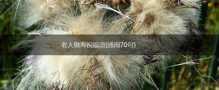 老人做寿祝福语(通用70句),第1张