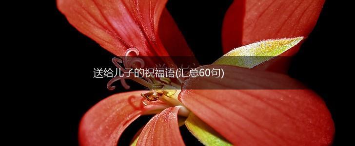 送给儿子的祝福语(汇总60句),第1张