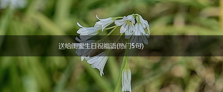 送给闺蜜生日祝福语(热门5句),第1张