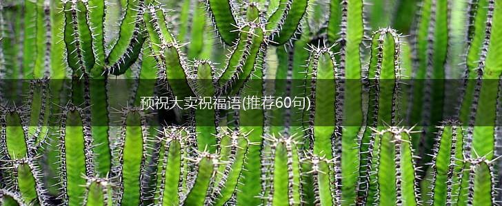 预祝大卖祝福语(推荐60句),第1张