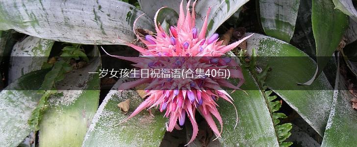 一岁女孩生日祝福语(合集40句),第1张