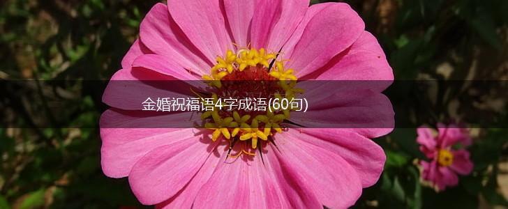 金婚祝福语4字成语(60句),第1张