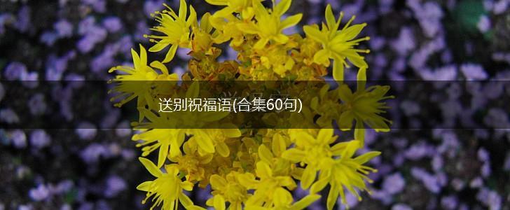 送别祝福语(合集60句),第1张