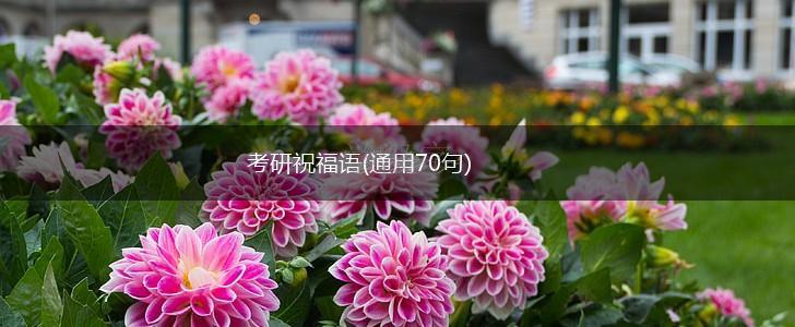 考研祝福语(通用70句),第1张