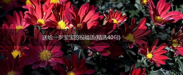 送给一岁宝宝的祝福语(精选40句),第1张