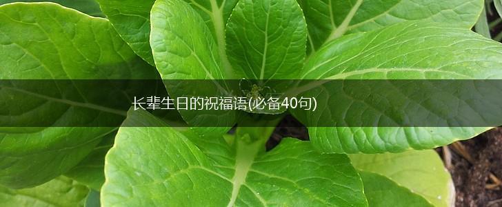 长辈生日的祝福语(必备40句),第1张