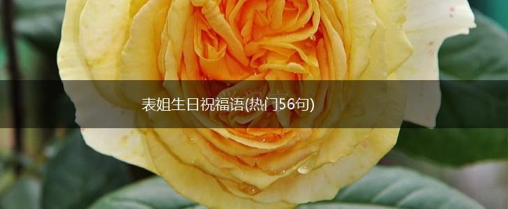 表姐生日祝福语(热门56句),第1张