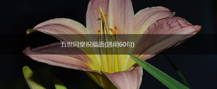 五世同堂祝福语(通用60句),第1张