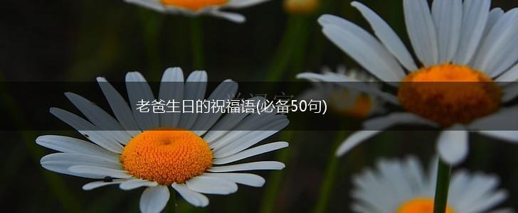 老爸生日的祝福语(必备50句),第1张