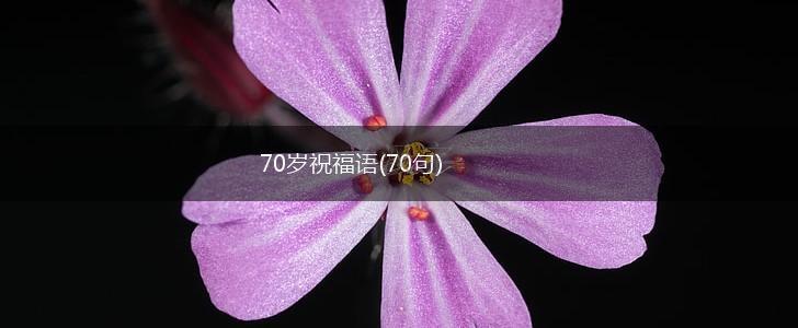 70岁祝福语(70句),第1张