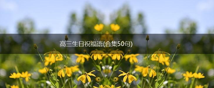 高三生日祝福语(合集50句),第1张