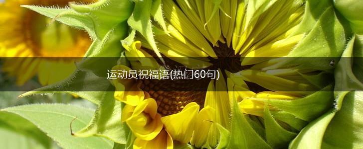 运动员祝福语(热门60句),第1张