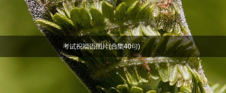 考试祝福语图片(合集40句),第1张