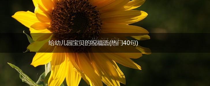 给幼儿园宝贝的祝福语(热门40句),第1张