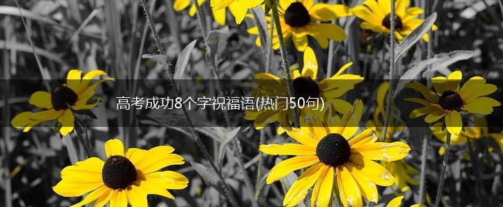高考成功8个字祝福语(热门50句),第1张