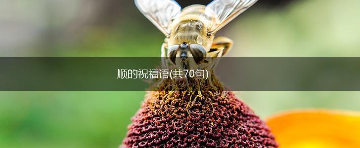 顺的祝福语(共70句),第1张