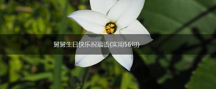 舅舅生日快乐祝福语(实用56句),第1张