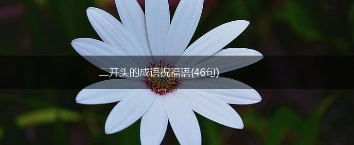 二开头的成语祝福语(46句),第1张