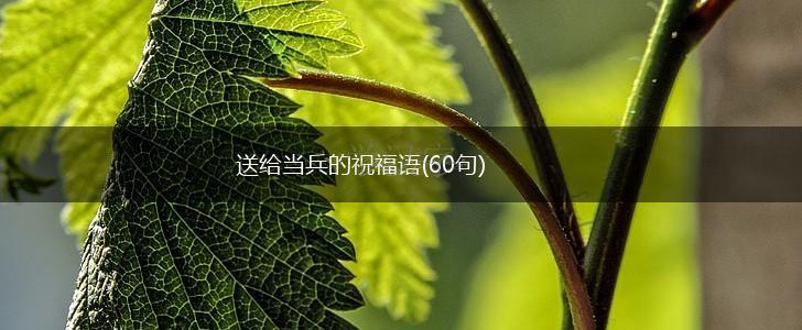 送给当兵的祝福语(60句),第1张