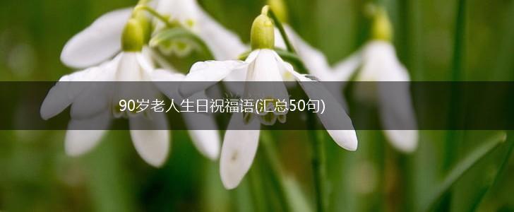 90岁老人生日祝福语(汇总50句),第1张