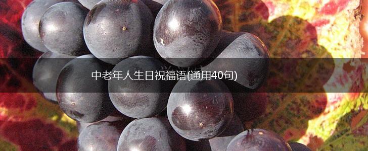 中老年人生日祝福语(通用40句),第1张
