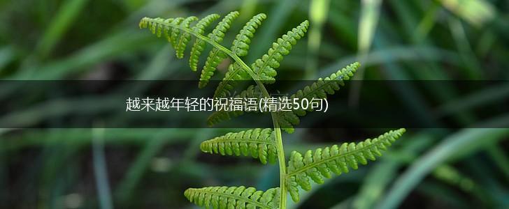 越来越年轻的祝福语(精选50句),第1张