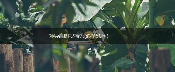 领导离职祝福语(必备50句),第1张