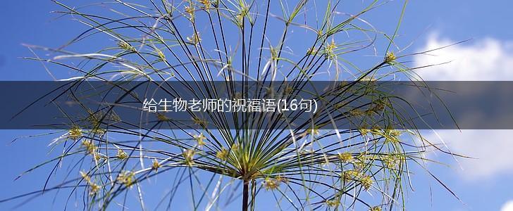给生物老师的祝福语(16句),第1张