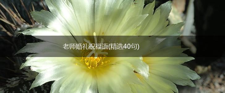 老师婚礼祝福语(精选40句),第1张