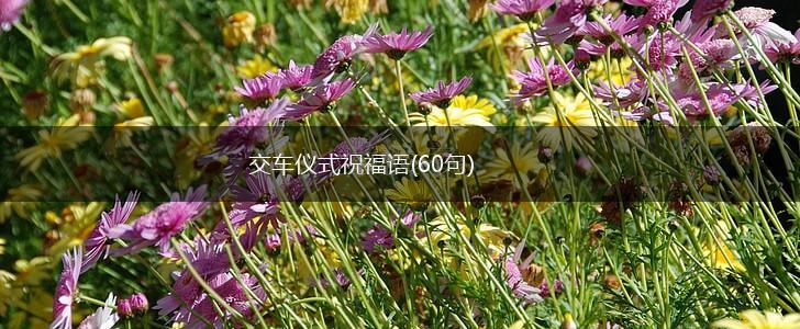 交车仪式祝福语(60句),第1张