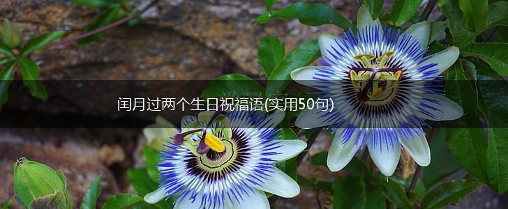 闰月过两个生日祝福语(实用50句),第1张