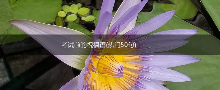 考试前的祝福语(热门50句),第1张