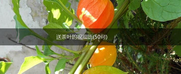 送茶叶的祝福语(50句),第1张