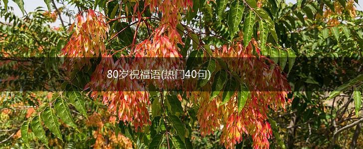 80岁祝福语(热门40句),第1张