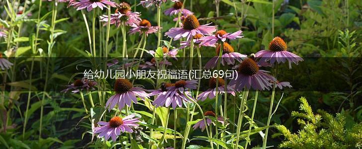 给幼儿园小朋友祝福语(汇总69句),第1张
