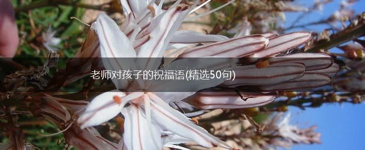 老师对孩子的祝福语(精选50句),第1张