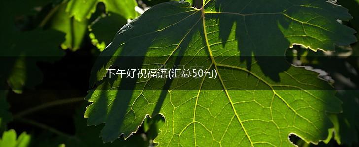 下午好祝福语(汇总50句),第1张