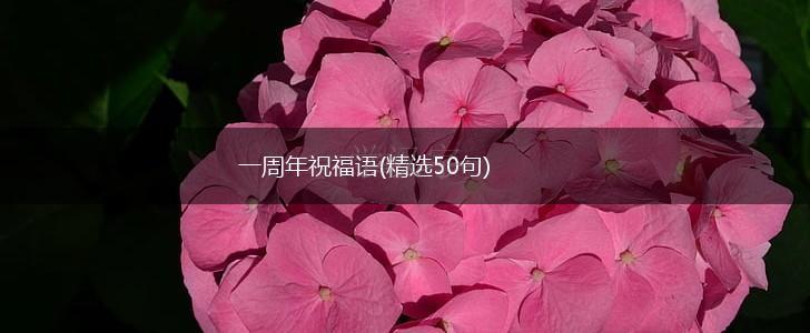 一周年祝福语(精选50句),第1张