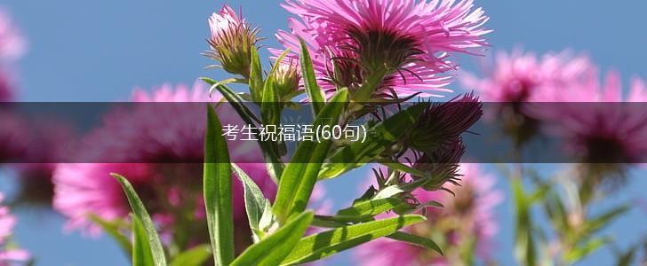 考生祝福语(60句),第1张