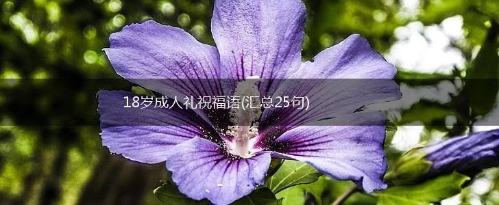 18岁成人礼祝福语(汇总25句),第1张