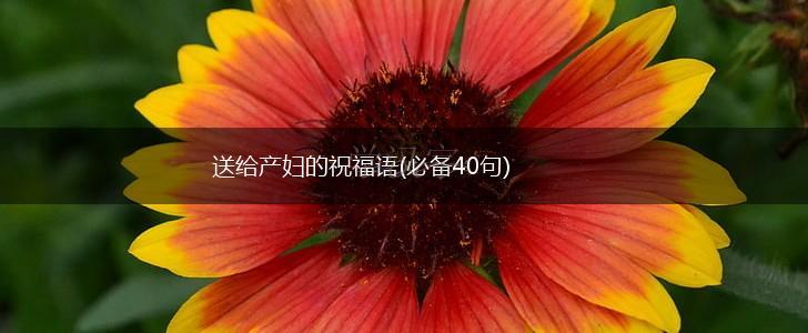 送给产妇的祝福语(必备40句),第1张
