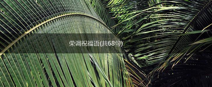 荣调祝福语(共68句),第1张